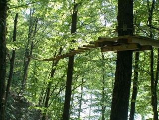 Percorso tra gli alberi